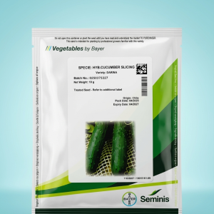 Cucumber Darina Hybrid Slicing Seed