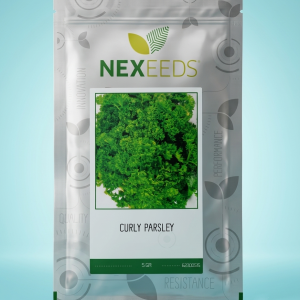 Parsley Curly