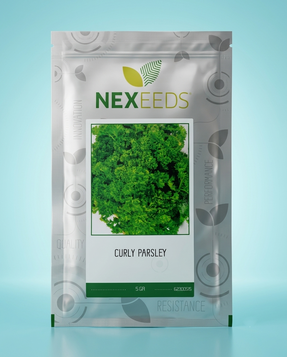 Parsley Curly